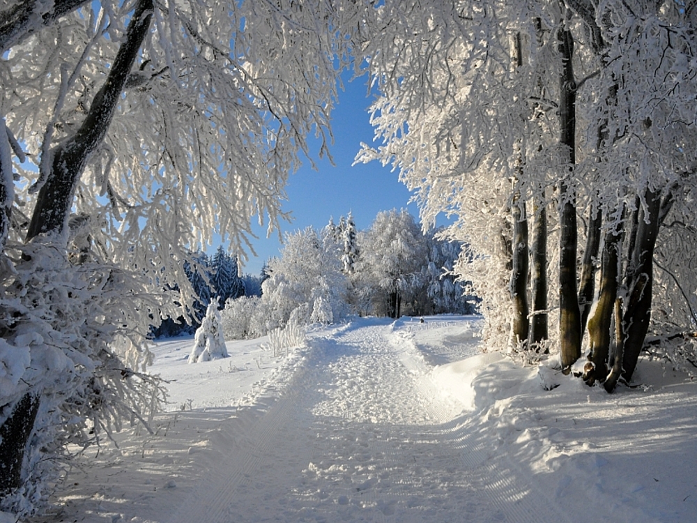 Winterlandschaft