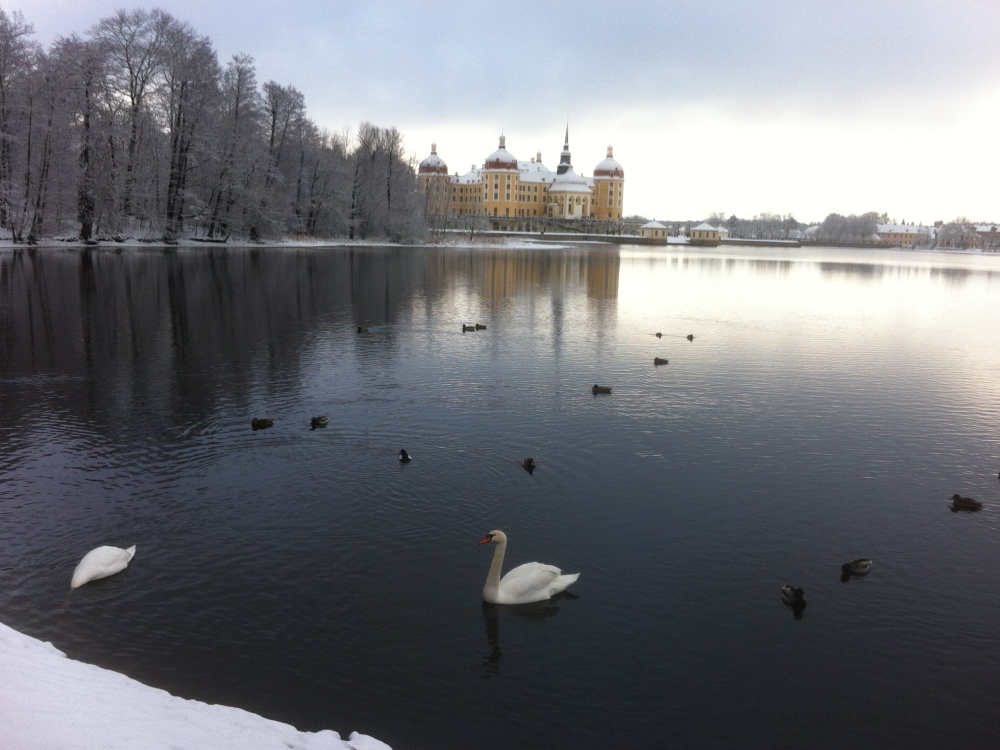 Schloß mit Teich im Winter