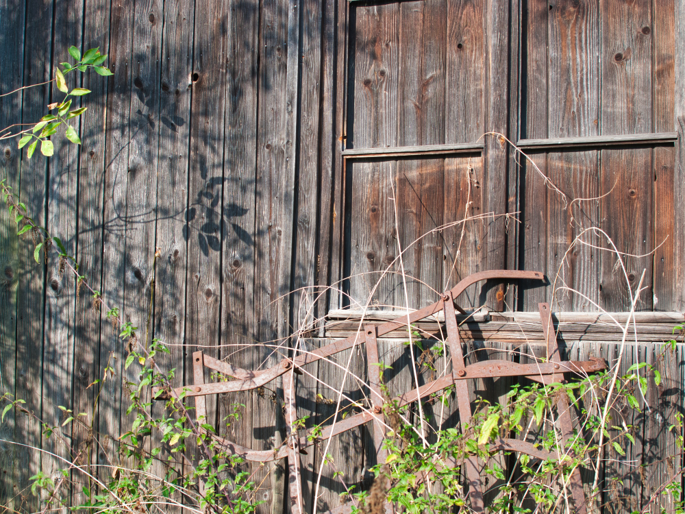 Stillleben am Holzhaus