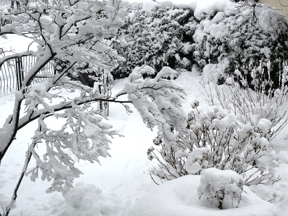 Winter im Garten