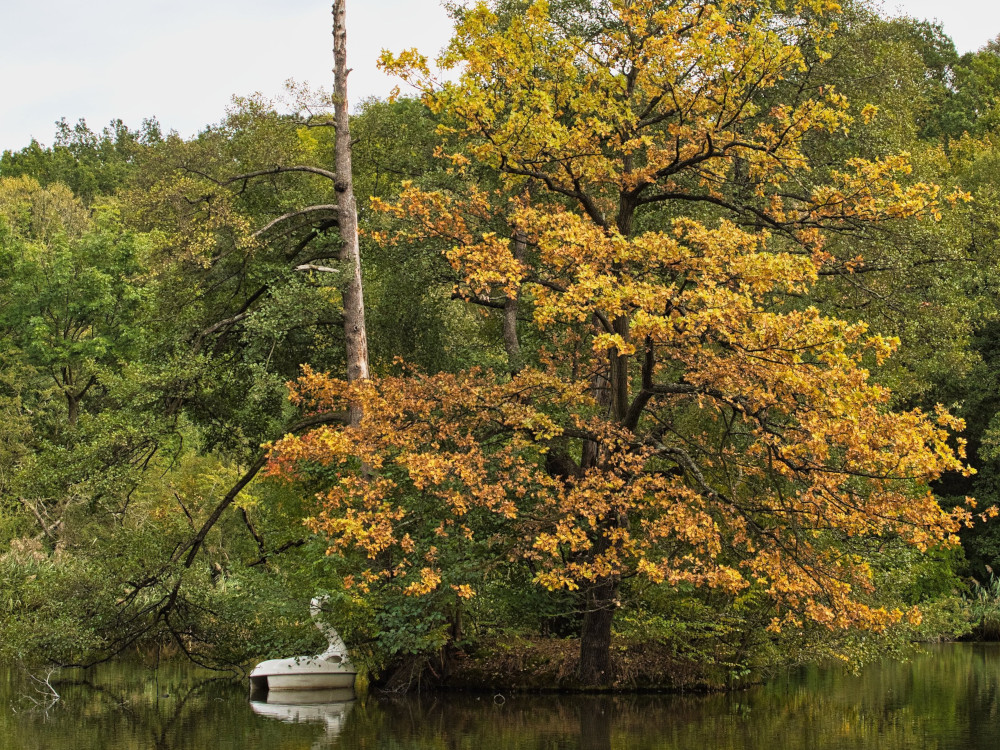 Herbst am Wasser