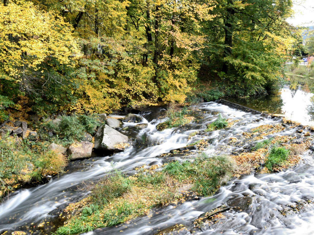 Herbst am Wasser