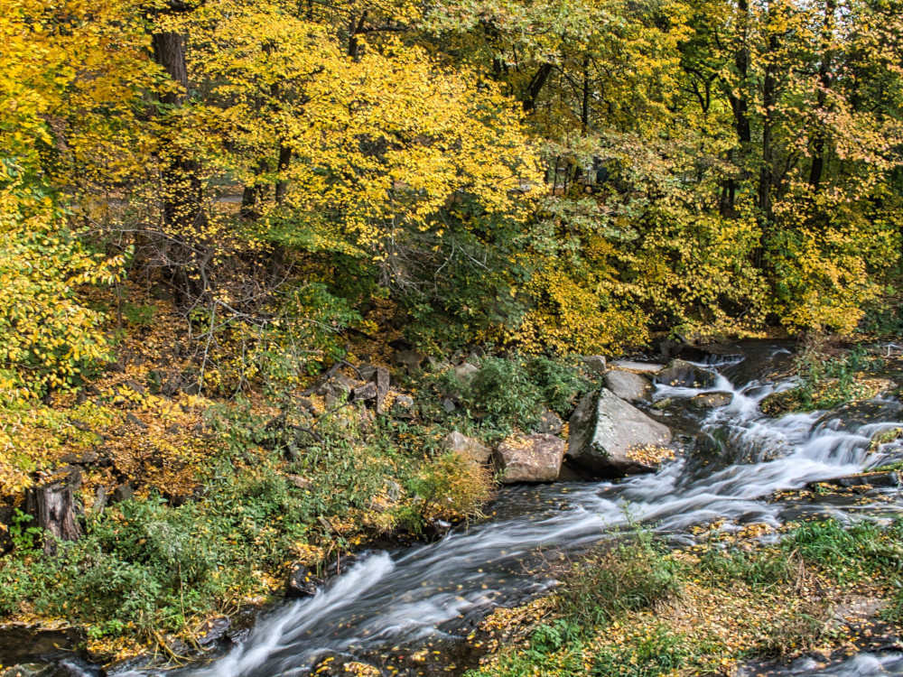 Herbst am Wasser