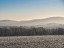 Vorschaubild: Winterlandschaft ohne Schnee